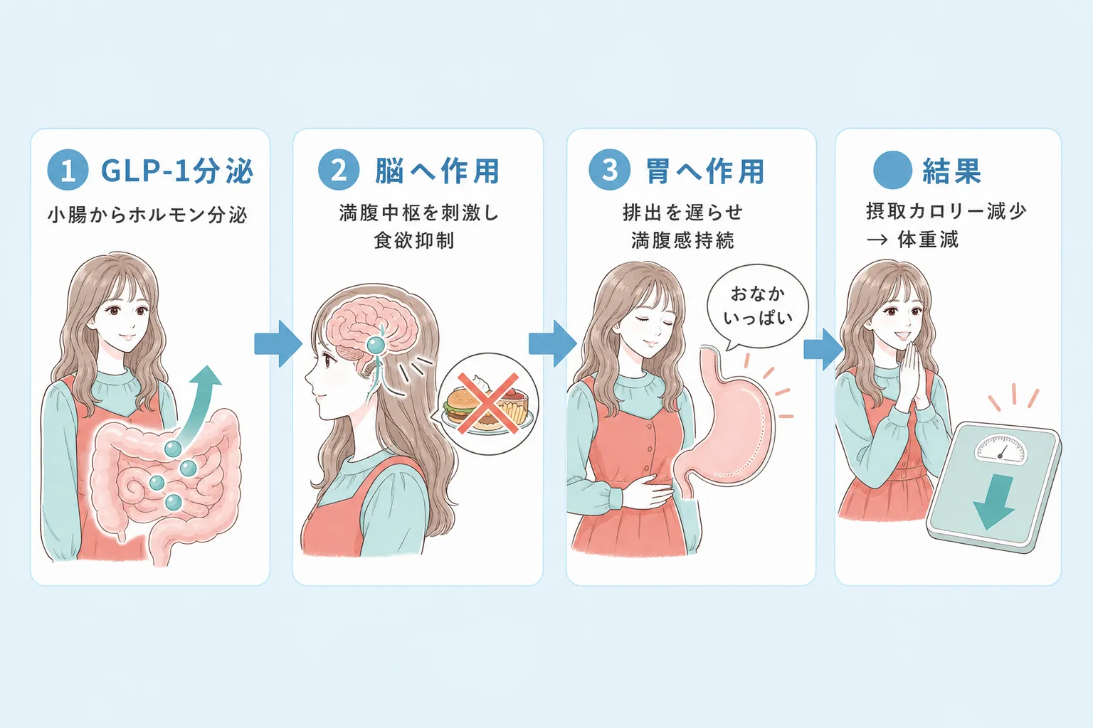 痩せる薬のメカニズム